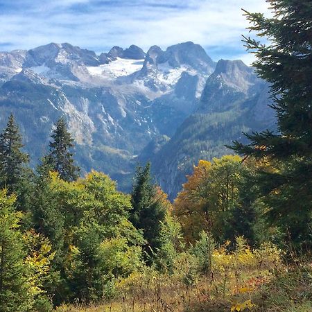 شقة Dachstein Mountainview غوساو المظهر الخارجي الصورة