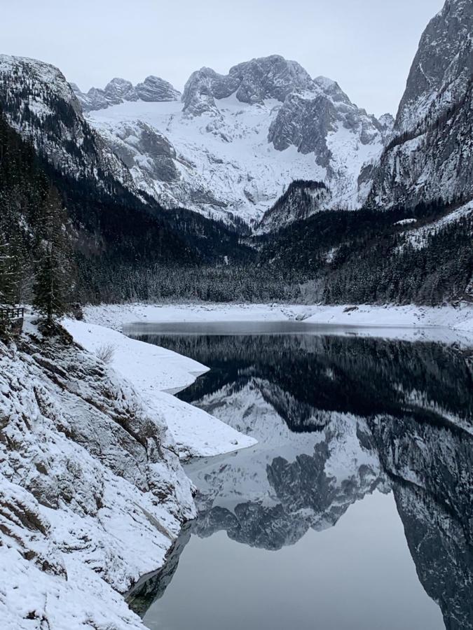 شقة Dachstein Mountainview غوساو المظهر الخارجي الصورة