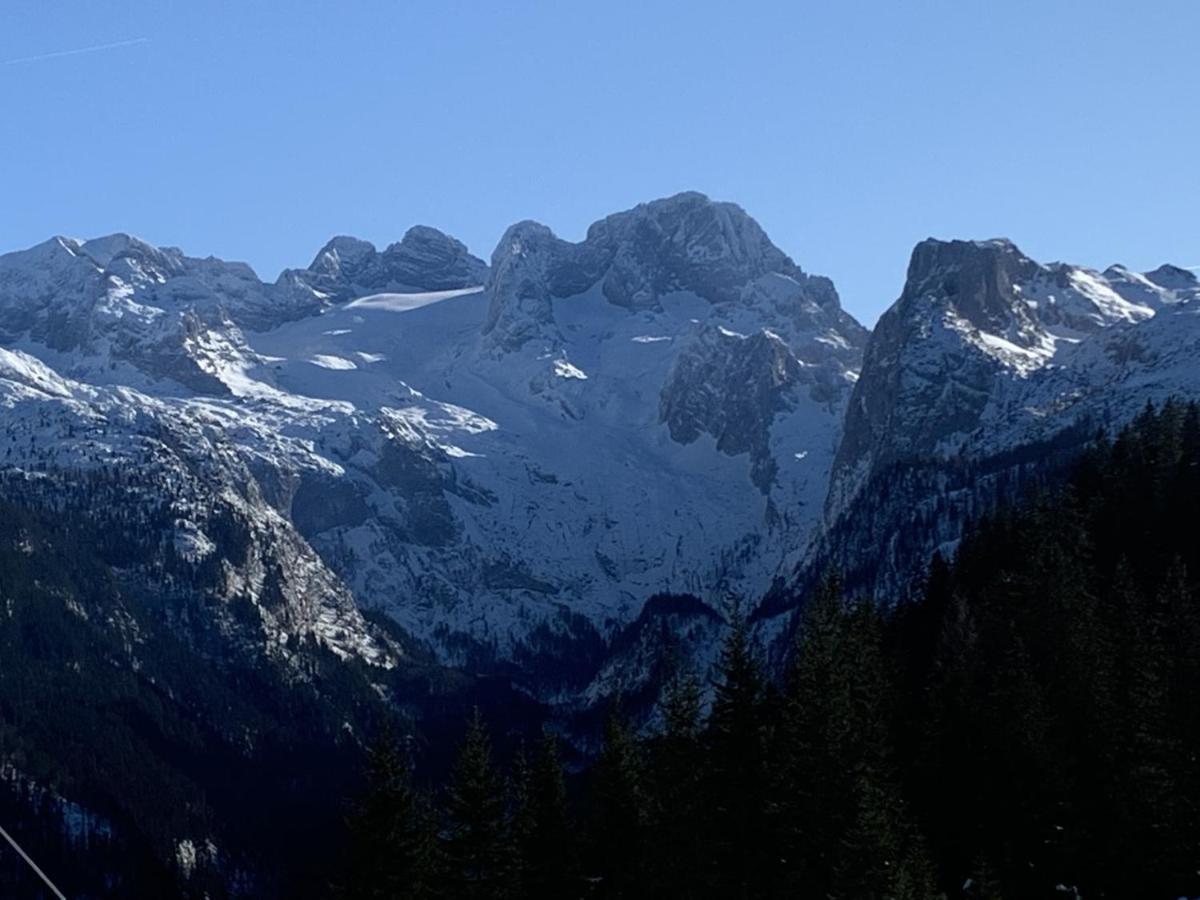 شقة Dachstein Mountainview غوساو المظهر الخارجي الصورة