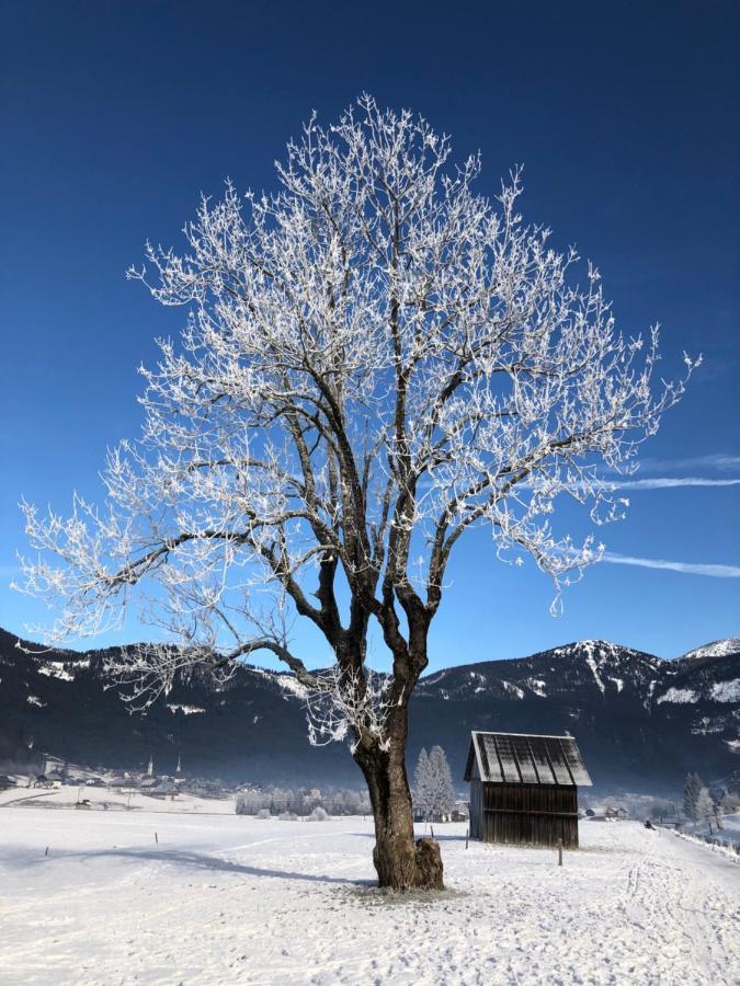 شقة Dachstein Mountainview غوساو المظهر الخارجي الصورة