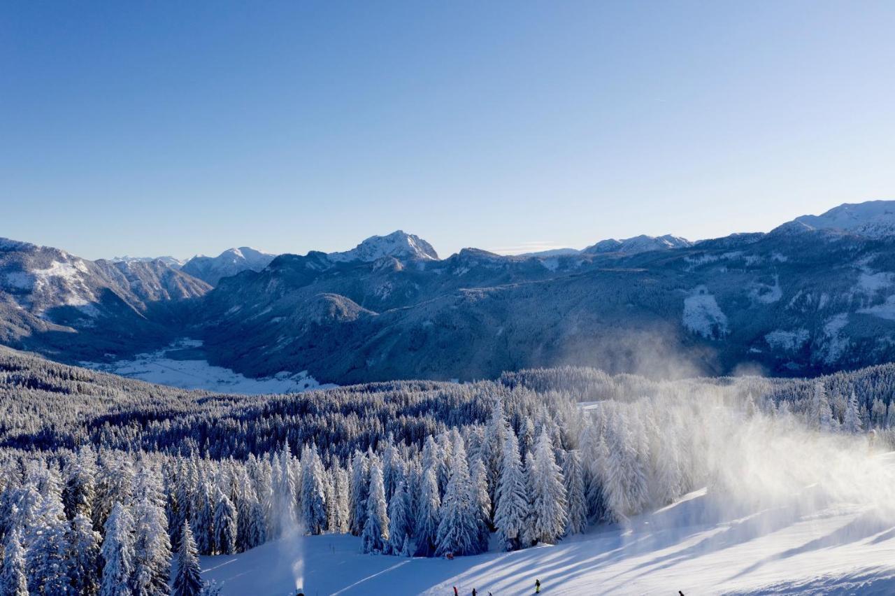 شقة Dachstein Mountainview غوساو المظهر الخارجي الصورة