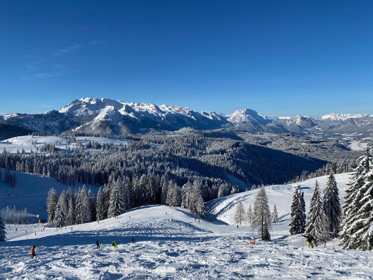 شقة Dachstein Mountainview غوساو المظهر الخارجي الصورة