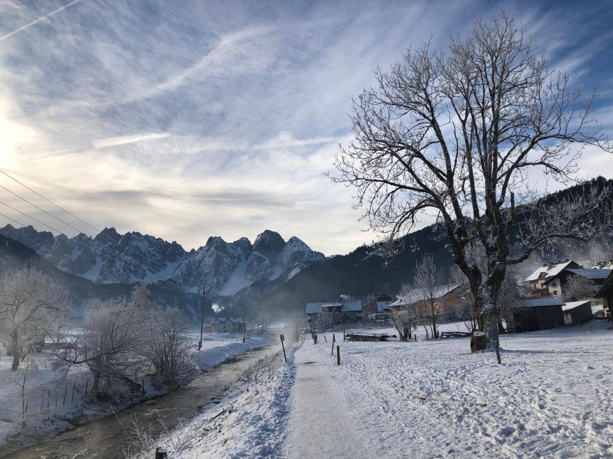 شقة Dachstein Mountainview غوساو المظهر الخارجي الصورة