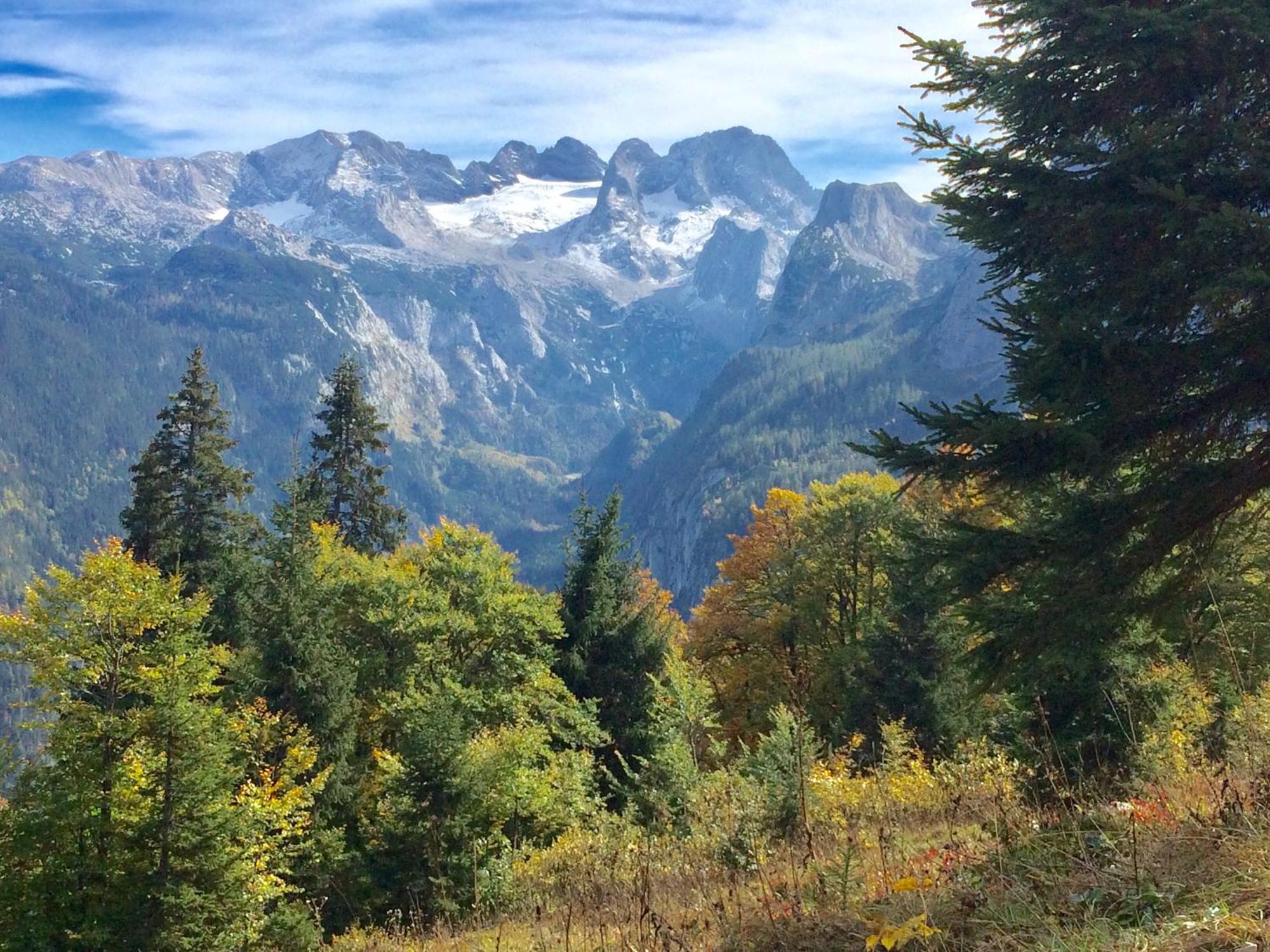 شقة Dachstein Mountainview غوساو المظهر الخارجي الصورة