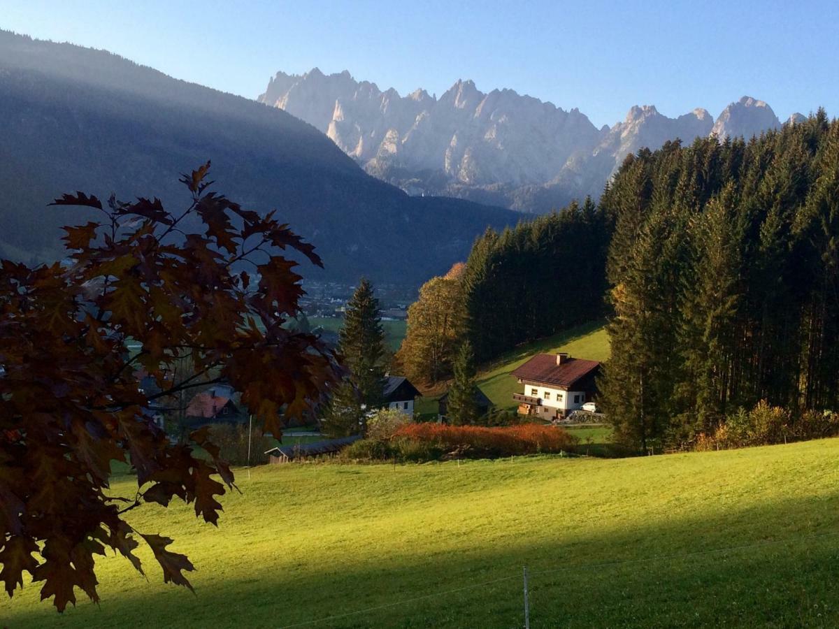شقة Dachstein Mountainview غوساو المظهر الخارجي الصورة