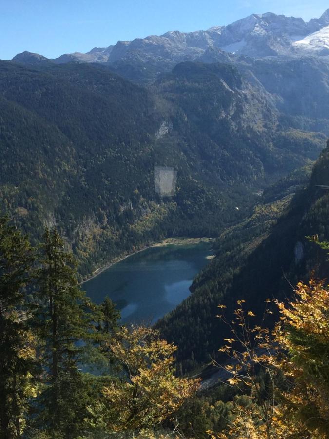 شقة Dachstein Mountainview غوساو المظهر الخارجي الصورة